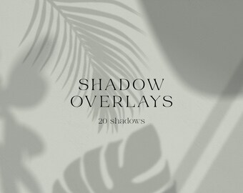 Download Palm Leaf Overlays Etsy