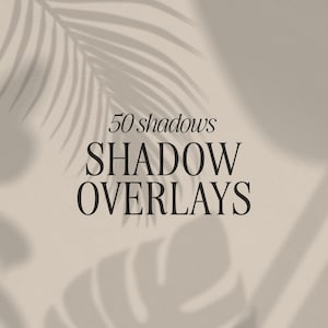 Shadow Overlay Clip Art PNG Files Set of 50 | Palm Leaf | Greenery | Floral | Photography | Creative Mock Ups