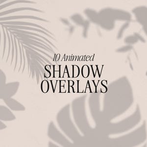 Animated Shadow Video Overlays | Set of 10 | Palm Leaf | Greenery | Floral | Creative Mock Ups