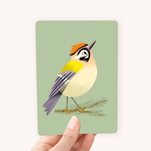 Postkaart Vuurgoudhaan - Leuke kaart voor vogelliefhebbers!