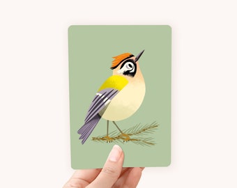 Postcard A6 Firecrest - The perfect card for bird lovers!