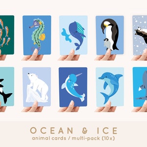 Kaarten Ocean & Ice A6 MULTI-PACK 10x dieren - Postkaart / ansichtkaart