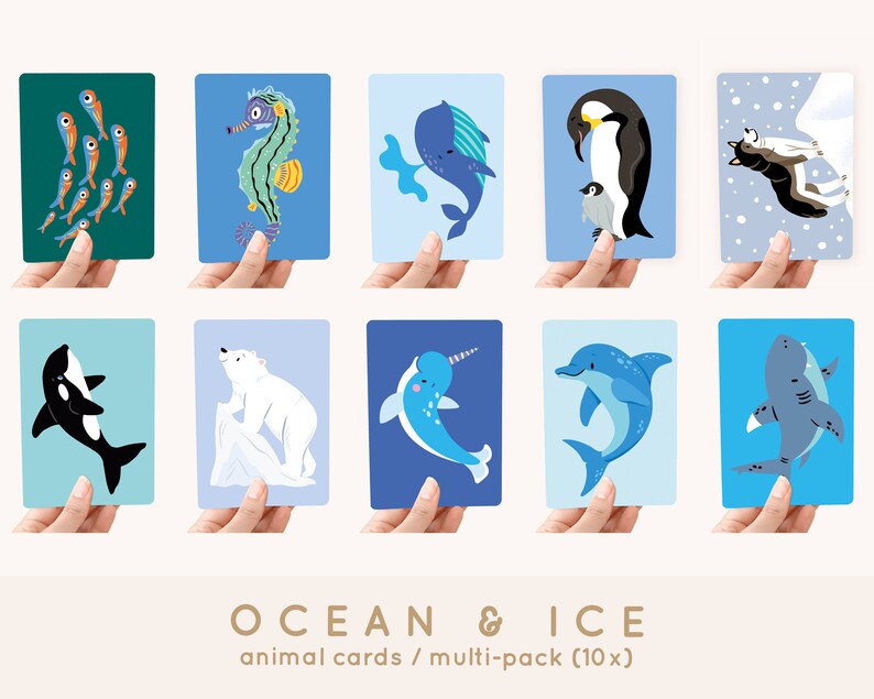 Cartoline Ocean & Ice A6 MULTI-PACK 10x animali - Cartolina / cartolina immagine 1