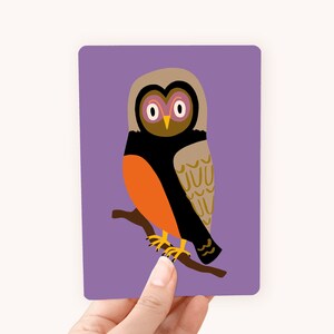 Postkaart Uil - Leuke kaart voor kids en dierenliefhebbers!