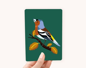 Postcard A6 Finch - The perfect card for bird lovers!