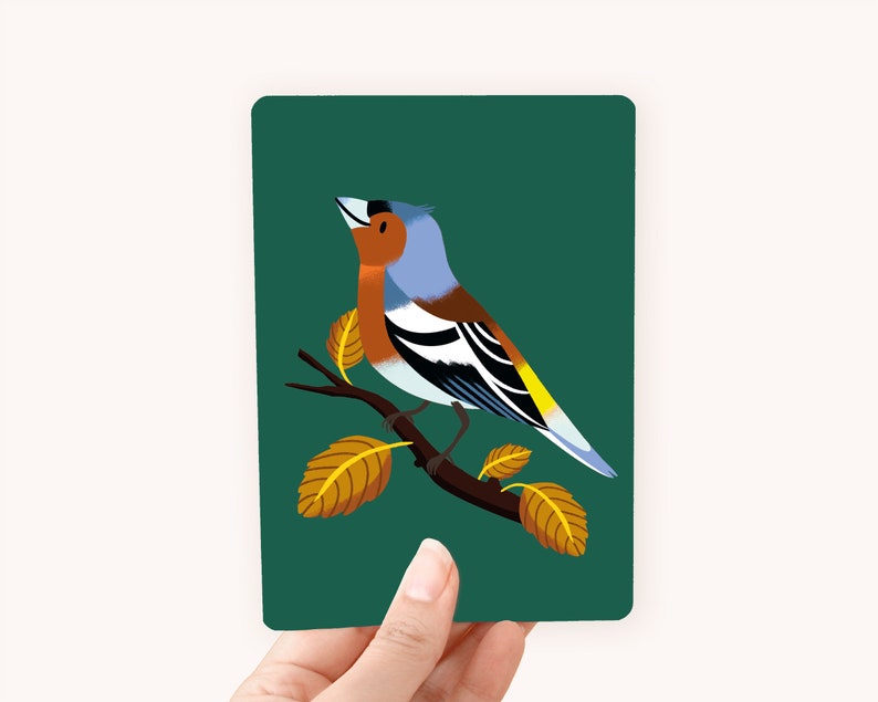 Postcard A6 Finch The perfect card for bird lovers image 1