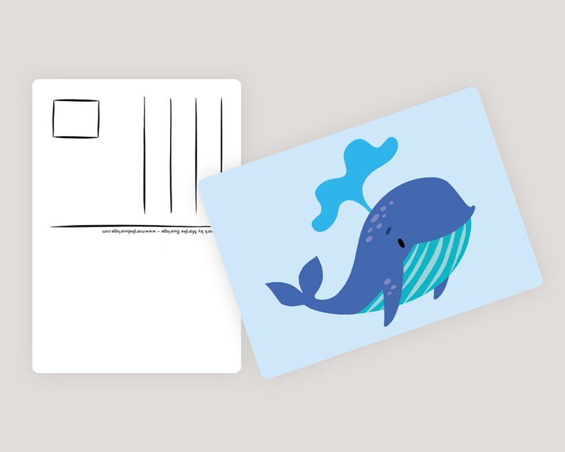 Cartoline Ocean & Ice A6 MULTI-PACK 10x animali - Cartolina / cartolina immagine 8
