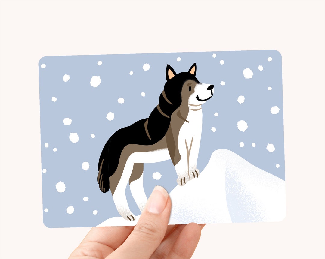 Postcard A6 Husky Card for Kids and Animal Lovers Etsy