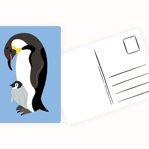 Cartoline Ocean & Ice A6 MULTI-PACK 10x animali - Cartolina / cartolina immagine 9