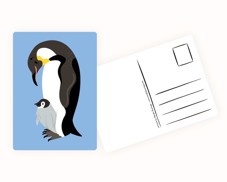 Cartoline Ocean & Ice A6 MULTI-PACK 10x animali - Cartolina / cartolina immagine 9