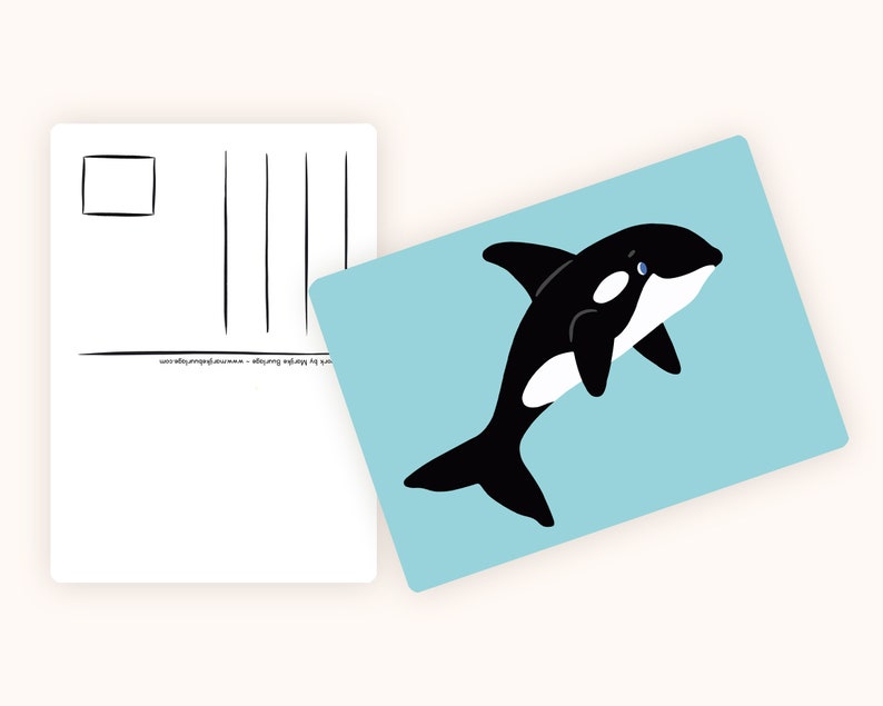 Cartoline Ocean & Ice A6 MULTI-PACK 10x animali - Cartolina / cartolina immagine 2