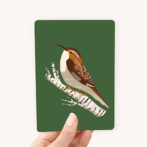 Postkaart Boomkruiper - Leuke kaart voor vogelliefhebbers!