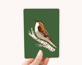 Postcard A6 Treecreeper - The perfect card for bird lovers!