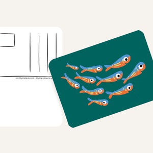 Cartoline Ocean & Ice A6 MULTI-PACK 10x animali - Cartolina / cartolina immagine 4