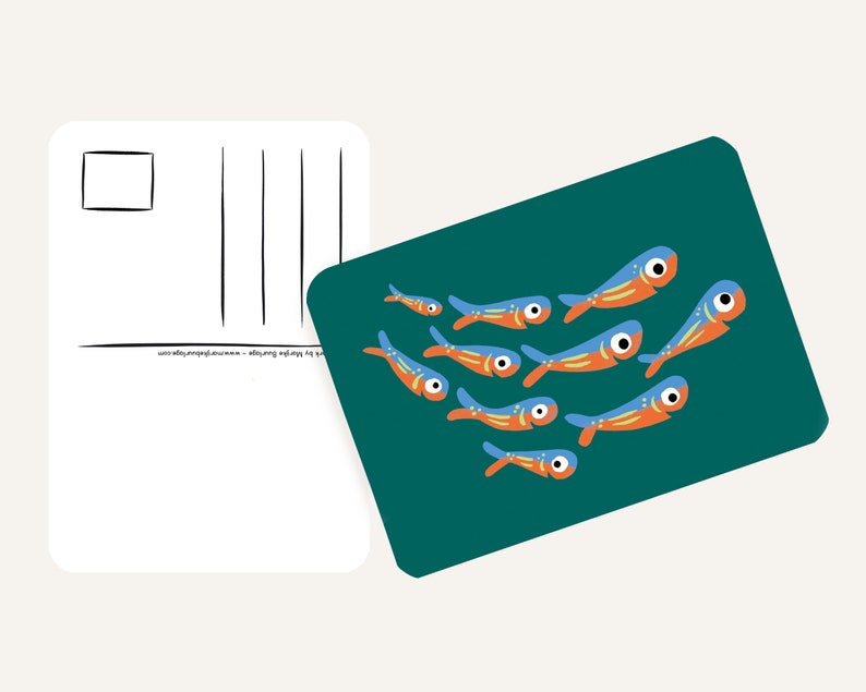 Cartoline Ocean & Ice A6 MULTI-PACK 10x animali - Cartolina / cartolina immagine 4