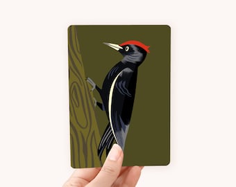 Postcard A6 Black Woodpecker - The perfect card for bird lovers!