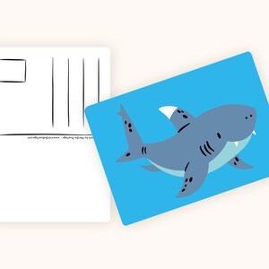 Cartoline Ocean & Ice A6 MULTI-PACK 10x animali - Cartolina / cartolina immagine 6
