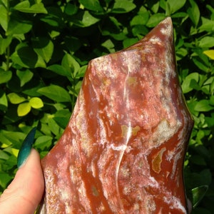 Poliert gebändert Red Ocean Jaspis Flame / Freeform - 512g - 12,5 cm groß - selbststehend