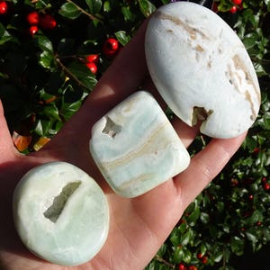 Polished Banded Caribbean Calcite Palm Stones - 3 Pieces to Choose From - You Decide!