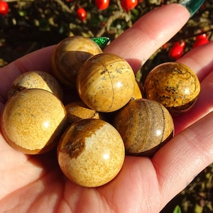 Peut inclure: Une collection de huit sphères de œil de tigre polies, lisses, brunes et beiges. Les sphères sont disposées dans une main, certaines se chevauchant.