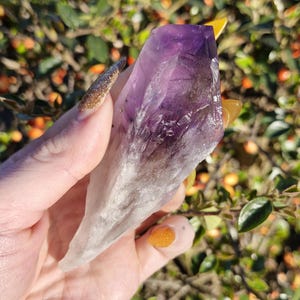 Rohe/Natürliche Klare Amethystwurzel/Stab - 77g - 8,5cm Längste Länge