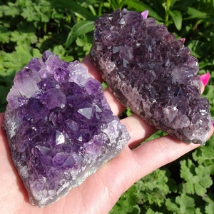 Raw / Natural Flashy Amethyst Clusters / Specimens - 2 More To Choose From - You Decide!