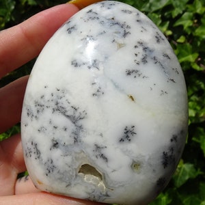 May include: White agate egg with black dendritic inclusions. The egg is smooth and polished, with a natural, organic shape.