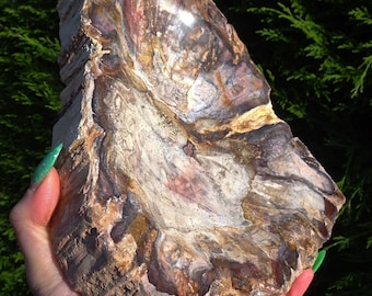 Extra Large Part Polished Banded Petrified Wood Bowl - 2.210kg - 22.5cm Longest Length