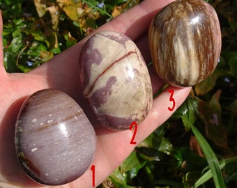 光沢のある縞模様のピンクの化石木ヤシ石 - 3 個からお選