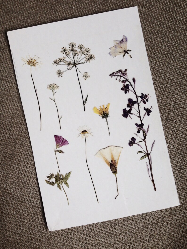 Be A Meadow Pressed Flowers Temporary Tattoos. 9 Pieces. Etsy
