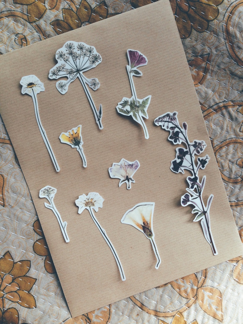 Be A Meadow Pressed Flowers Temporary Tattoos. 9 Pieces. Etsy