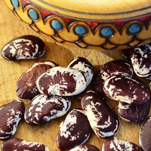 Puede incluir: Un cuenco de madera con un diseño colorido lleno de frijoles moteados de blanco y morado. El cuenco está sentado sobre una superficie de madera con más frijoles esparcidos a su alrededor.