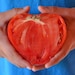 see more listings in the Tomatoes  section