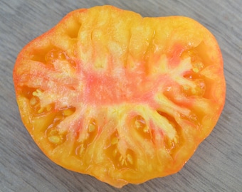 5 Heirloom! seeds Slivka Sokoladnaja Tomato