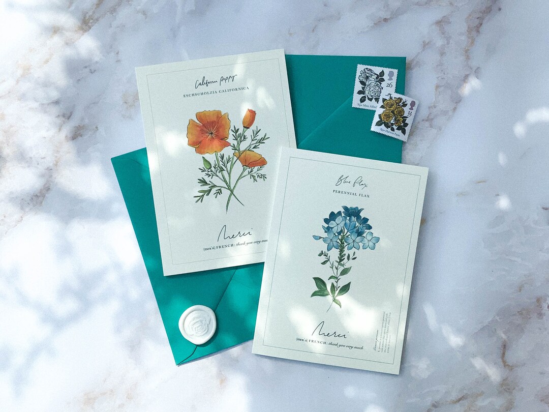 Thank You Cards Multipack With Envelopes 12/24/48 Greeting Cards ...