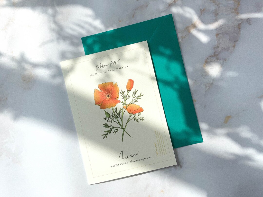 Thank You Cards Multipack With Envelopes 12/24/48 Greeting - Etsy
