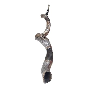 Large 69&quot; Sterling Silver Plated Kudu Shofar Horn: Yemenite Lion of Judah