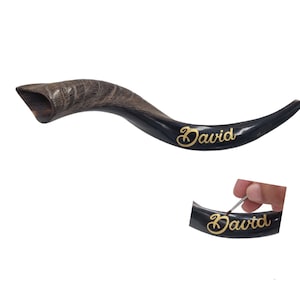 Personalized Kudu Shofar from Israel - Custom Name Engraving & Your Choice of Size - A Complete Gift Set