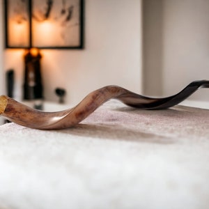May include: A brown and black shofar, a ceremonial ram's horn, rests on a white surface. The shofar is curved and has a natural, organic shape.