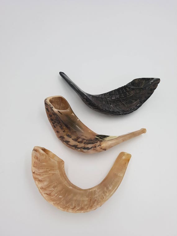3 x Rams Horn Shofar Kosher Natural Made in Israel best Etsy