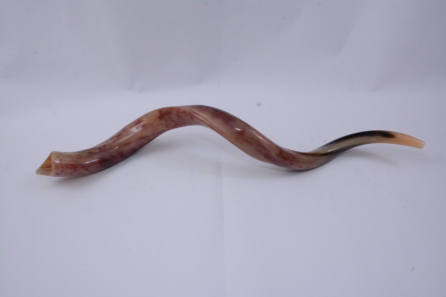 Guide Carrying Box Case Spray 26-28 SHOFAR Set Full Polished Kudu Horn Yemenite Bag