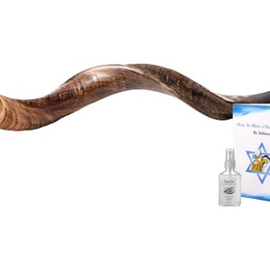 Jewish Shofar Kudu Horn 60-70 Cm ( 24 Inch - 28 Inch ) Natural + Free Anti Odor Spray + guide