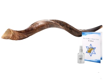 Natural Kudu Horn Shofar: Jewish Yemenite Horn (24-28 Inch)