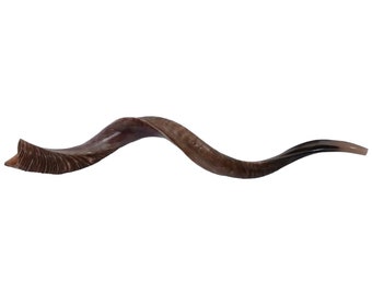 Kosher kudu-sjofar: half natuurlijk, half gepolijste Jemenitische hoorn: 21&quot;