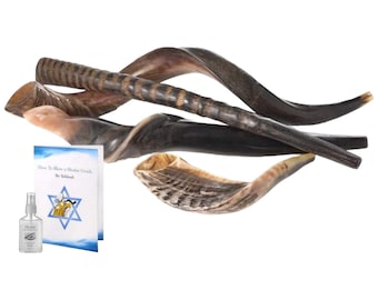 Sale 4 Shofars Shofar Kudu Yemenite, RAM, Gemsbok Oryx Horn, Eland Shofar Free Odor Neutralizer + Guide By Yaliland