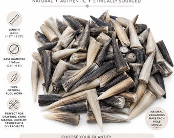 Genuine Kudu Horn Tips | Natural Craft Supply for Knife Making, Jewelry (25-100 Pieces)