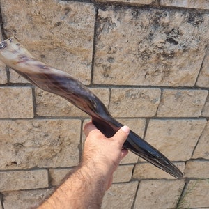 Polished 18-20&quot; Eland Shofar - Striking Natural Horn with Easy Blow - Authentic Judaica from Israel