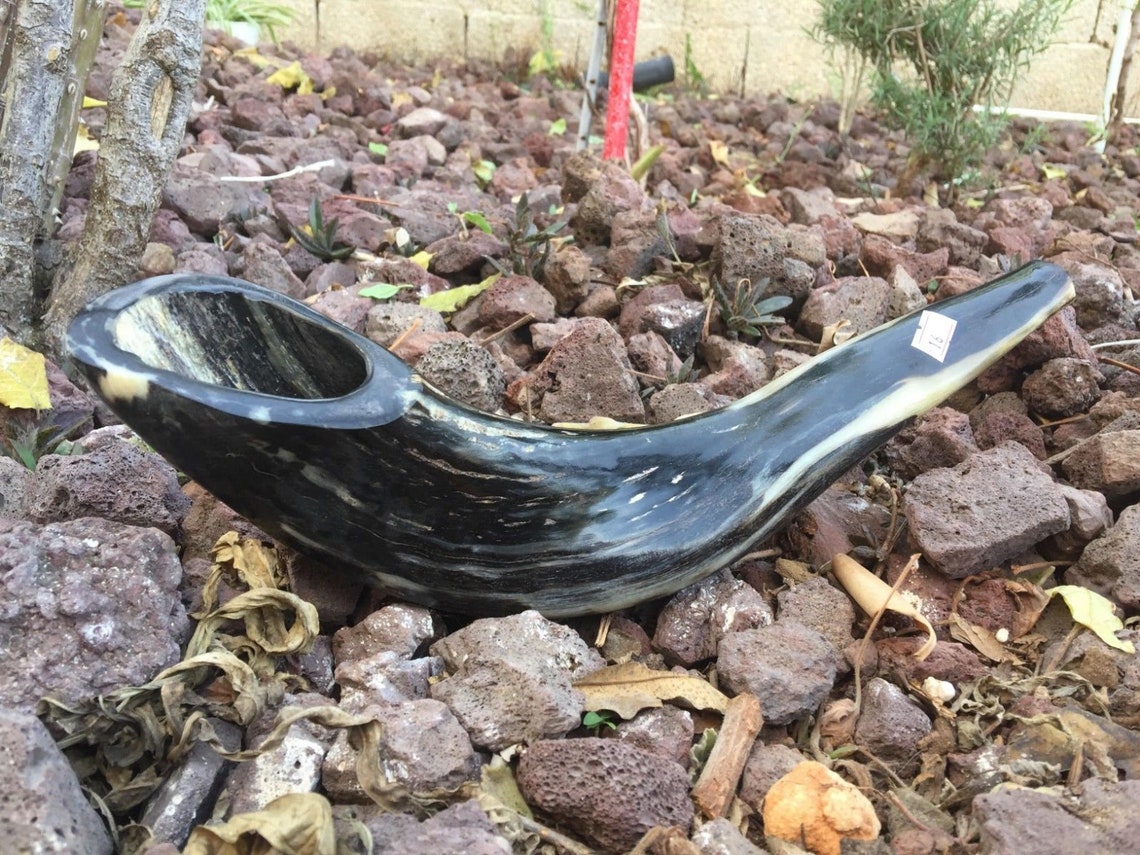 Ram Horn Shofar Trumpet From Israel Polished Koѕhеr Etsy Denmark