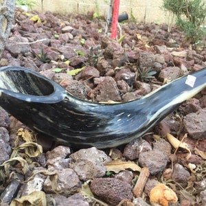 Classic 15-18&quot; Kosher Ram&#39;s Horn Shofar - Polished & Tested for Great Sound - Authentic Judaica Gift