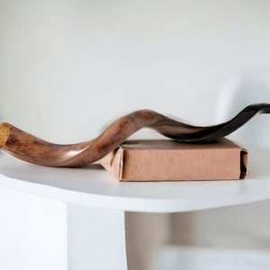 Yemenite Kudu Shofar 20-24&quot; Full Polish | Hand Tested Sound Quality | FREE AntiOdor Kit + Expert Guide | Israel Made